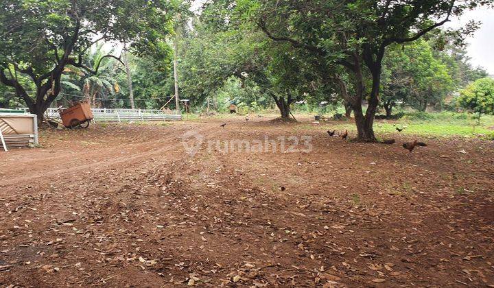 Di jual Tanah Kebun murah cekali di Duren Jaya, Bekasi timur 2