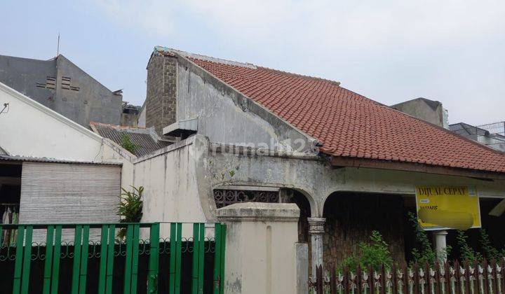 Tanah Murah Banget Bebas Banjir Di Kayu Mas, Kayu Putih 2