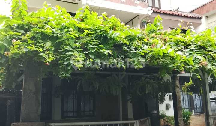 Nice House for Sale Fast and Cheap in Pulo Mas, Flood-Free Nice House for Sale Fast and Cheap in Pulo Mas, Flood-Free