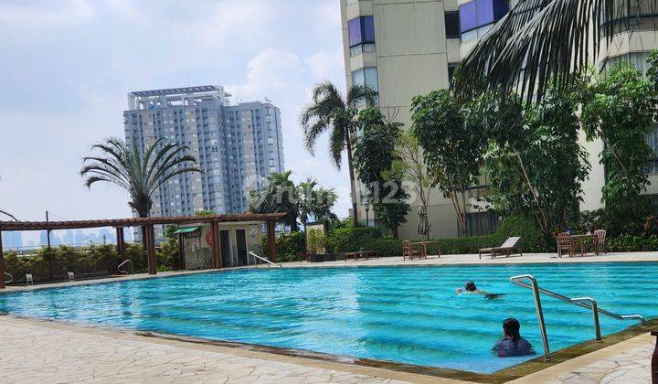 kolam renang apartemen taman anggrek kondominium siap
