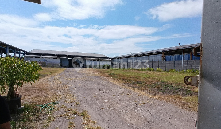 Jemundo Kletek Warehouse, Wide Road, Sidoarjo