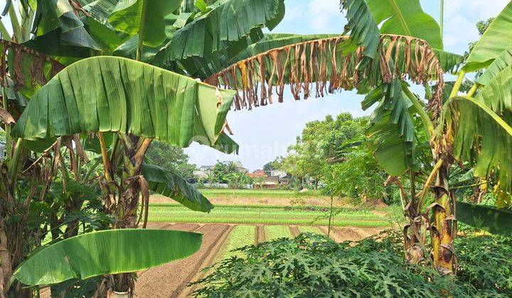 Kavling Tanah  lokasi Ok cocok  bangun Ruko dan Rumah Sakit di Babelan Bekasi 2