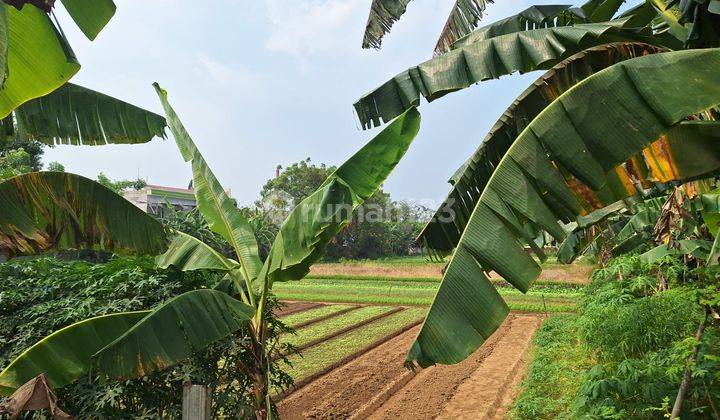 Kavling Tanah  lokasi Ok cocok  bangun Ruko dan Rumah Sakit di Babelan Bekasi 2