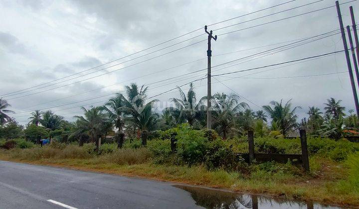 Tanah pangandaran lokasi startegis view laut cocok untuk hotel 1