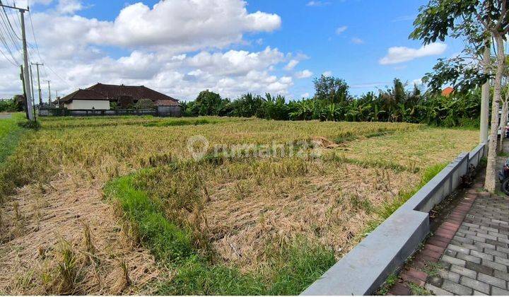 Land for Sale in Nyitdah Tabanan Bali 2