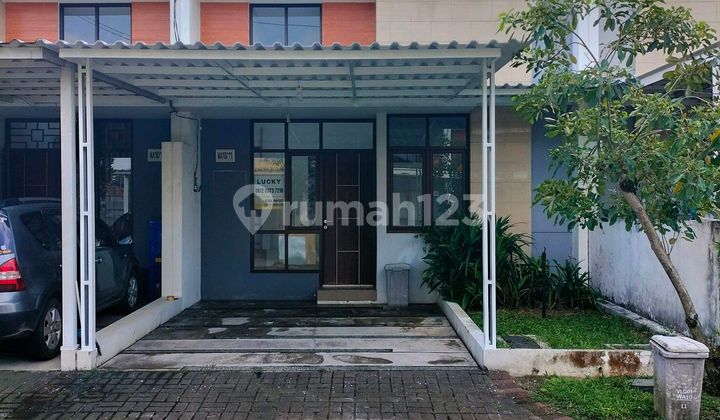 Disewa Rumah 1 Lt Siap Huni.cakep Di Citra Raya Tangerang Rumah Bagus 1