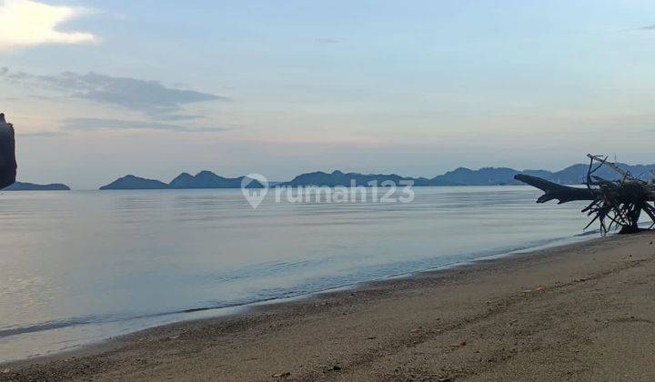 Turun Harga Owner Lagi Bu! Tanah Beachfront Pantai Gorontalo / Pantai Pede Di Labuan Bajo, Ntt 1