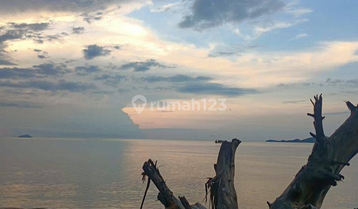 Turun Harga Owner Lagi Bu! Tanah Beachfront Pantai Gorontalo / Pantai Pede Di Labuan Bajo, Ntt 2
