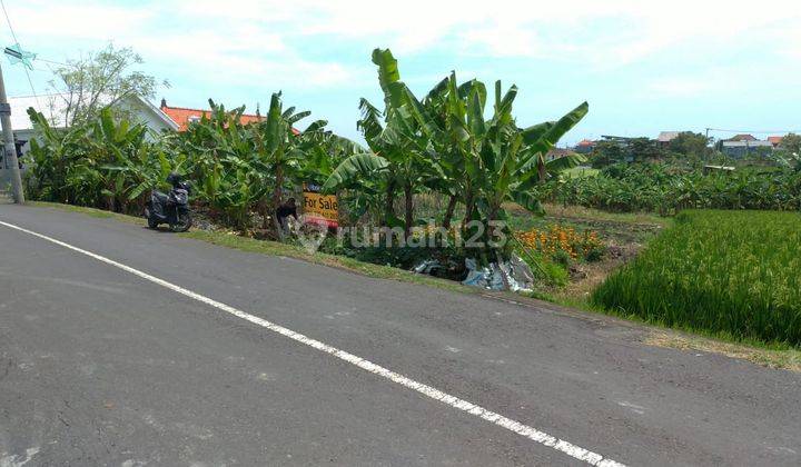 Hanya 500 Meter Ke Pantai Perenenan, Canggu 2