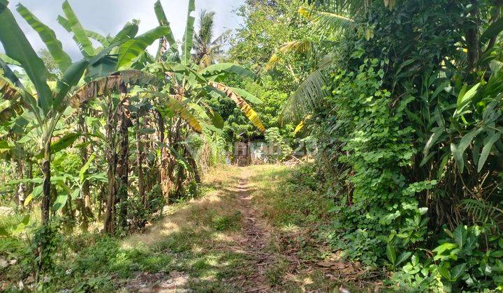 Land For Lease 350 M2 River View 10 Minute To Nyanyi Beach 1