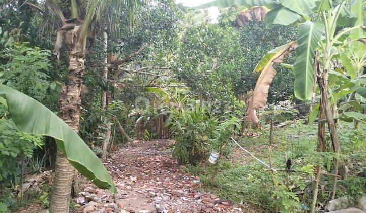 Land For Lease 350 M2 River View 10 Minute To Nyanyi Beach 2