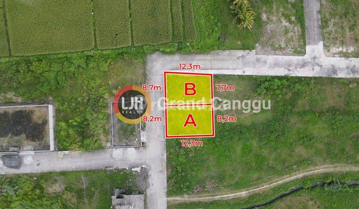 Kavling 1 Are Di Daerah Kediri Dekat Nyitdah, Tabanan 1