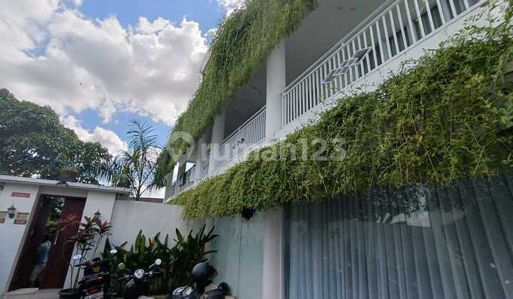 For lease guest house in Canggu For lease guest house in Canggu