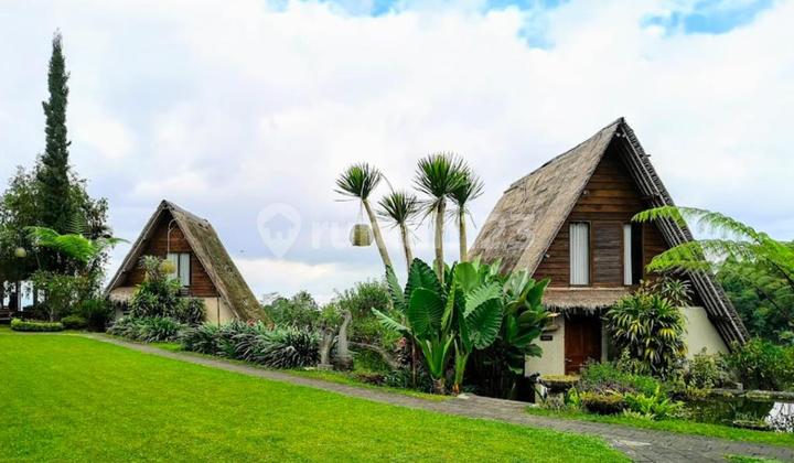 For sale: Kampung Villa with 12 rooms in Bedugul featuring an amazing view.