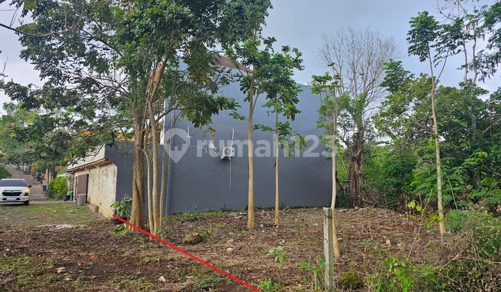 Di Jual Kavling Kecil di Labuan Sait, Pecatu