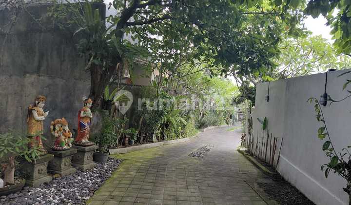 Rare 5 are land for rent in Pererenan, Badung, Bali Rare 5 are land for rent in Pererenan, Badung, Bali