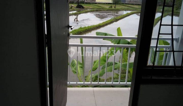 Rumah Cantik Kebo Iwa Denpasar Dekat Kerobokan Badung Bali