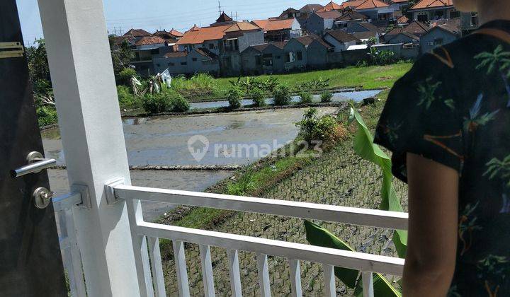 Rumah Cantik Kebo Iwa Denpasar Dekat Kerobokan Badung Bali