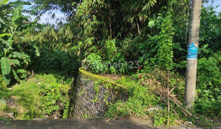 Tanah 10 Are Strategis Dekat Puspem Badung Bali 5