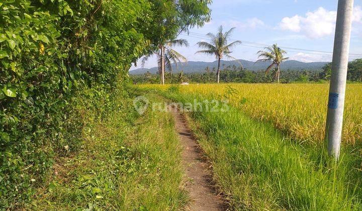 31 Are Antosari Tabanan Bali Cocok Investasi 1