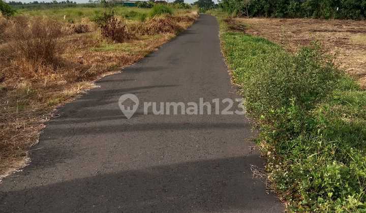 Strategic view of the beach is very suitable for investment in Villa Tabanan Strategic view of the beach is very suitable for investment in Villa Tabanan