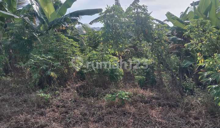 Strategic view of the beach is very suitable for investment in Villa Tabanan Strategic view of the beach is very suitable for investment in Villa Tabanan