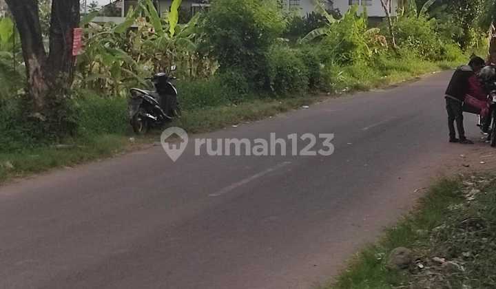 Tanah Sewa Raya Seseh Cocok Resto Or Usahaluas 55 Are Dekat Canggu Badung Bali
