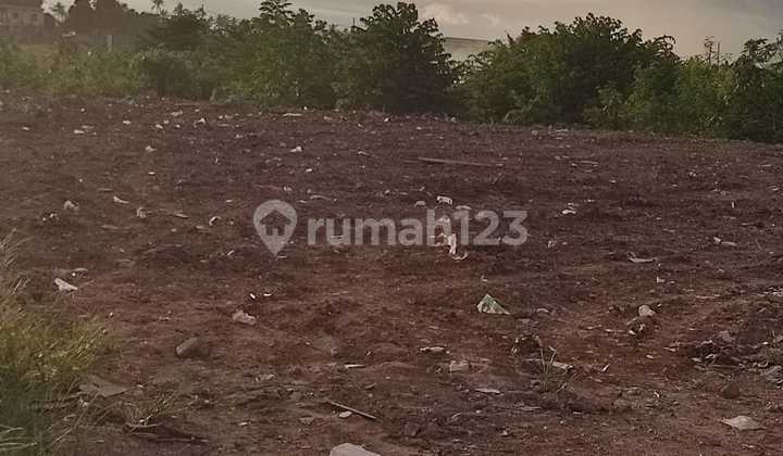 Tanah Sewa Raya Seseh Cocok Resto Or Usahaluas 55 Are Dekat Canggu Badung Bali