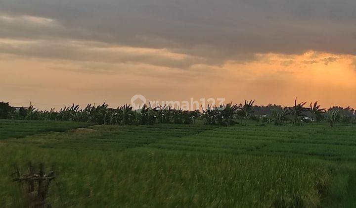 20 Are Pantai Pasut Tabanan Bali Cocok Villa Cantik 1