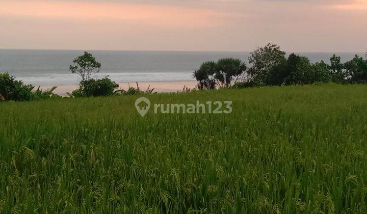 75 Are Loss Pantai Pasut Tabanan Bali Cocok Villa  2