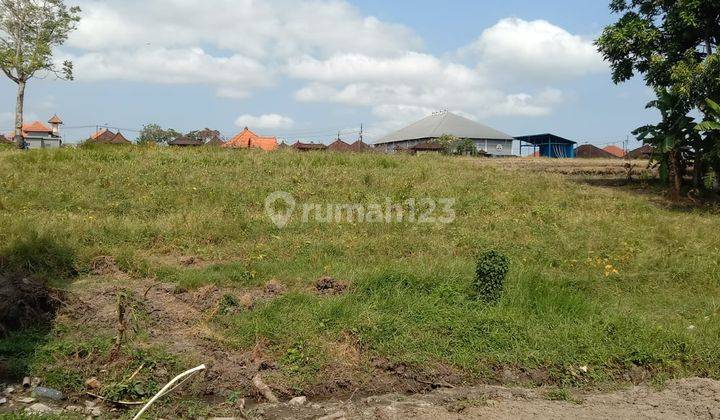 Strategic Land 510 M2 Near Tanah Lot Beach Close to Canggu Badung  1