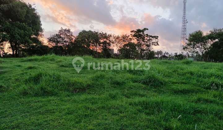 Turun Harga Miring Tanah 50 Are Dekat Pantai Balian Tabanan Bali Turun Harga Miring Tanah 50 Are Dekat Pantai Balian Tabanan Bali