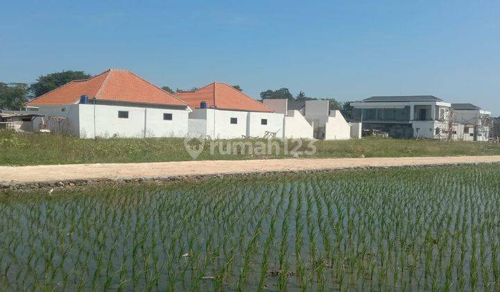 Tanah Sewa Strategis Cocok di Bangun Villa Dekat Pantai Seseh Canggu Badung Bali