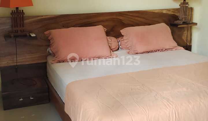 Rumah Cantik Minimalis Dekat Bali Kiddy Kerobokan Badung Bali Rumah Cantik Minimalis Dekat Bali Kiddy Kerobokan Badung Bali