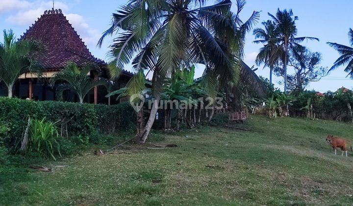 17.5 Are Pantai Balian Cocok Untuk Usaha Atau Restoran Tabanan Bali 2