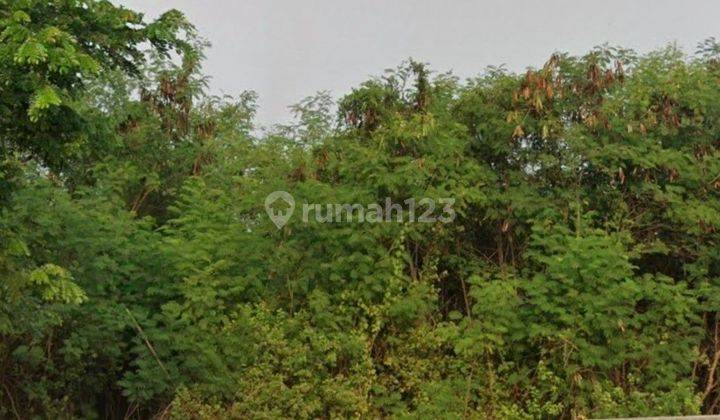 Dijual Tanah Di Pademangan, Ancol Jakarta Utara 2