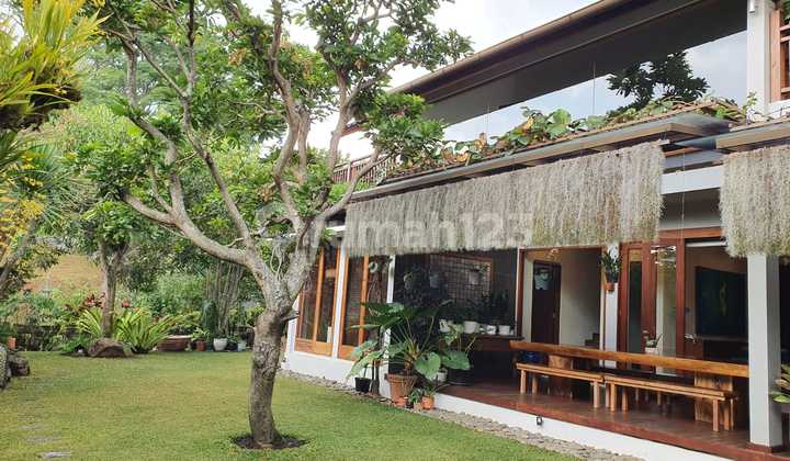 Rumah Nyaman dengan Kebun Luas di Dago Pakar Bandung Rumah Nyaman dengan Kebun Luas di Dago Pakar Bandung