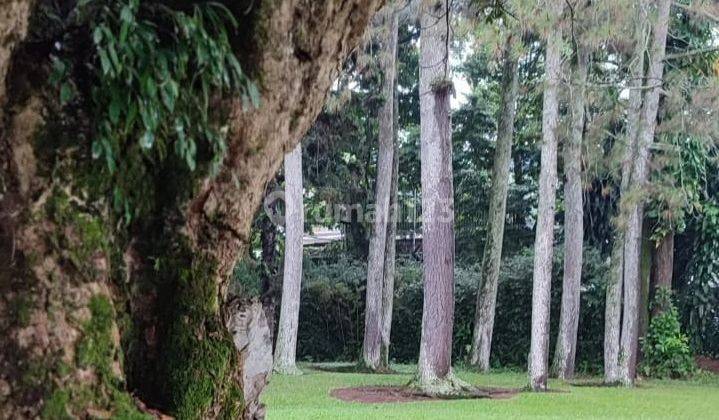 Rumah Di Ciumbuleuit Bandung Halaman Sangat Luas 2