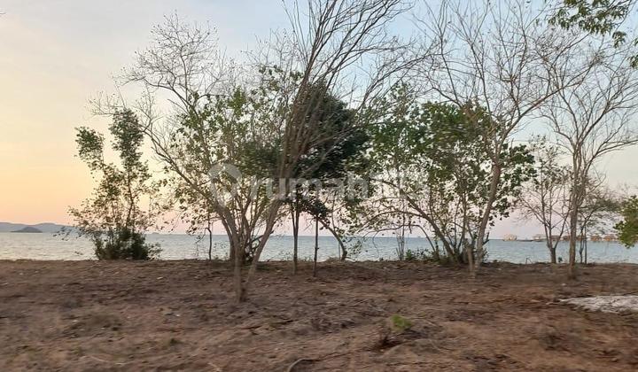 Several Plots Suitable for Resort Several Plots Suitable for Resort