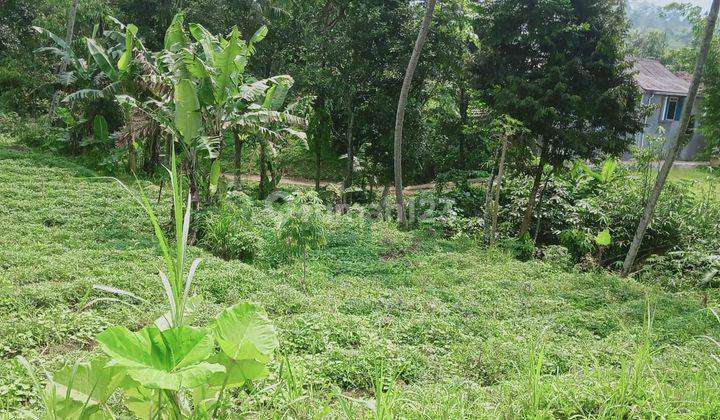 Tanah Buat Villa& Kolam Ikan View Gunung Di Bogor Selatan  2