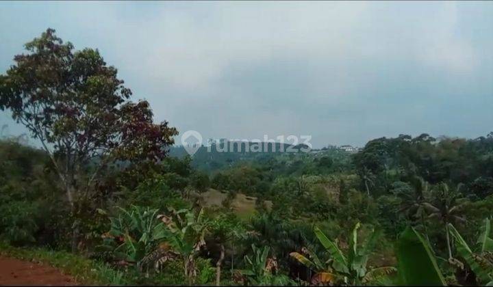 Puncak Bogor jual loksi murah View Gunung dingin buat Investasi  1