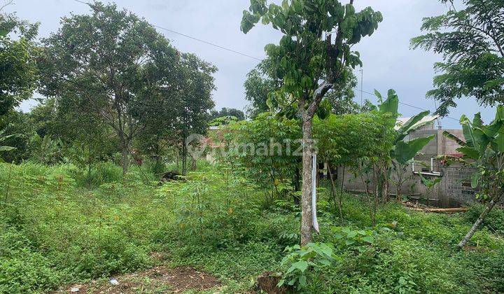 Lokasi Buat Villa&rumah tinggal d cigombong bogor selatan sejuk  2