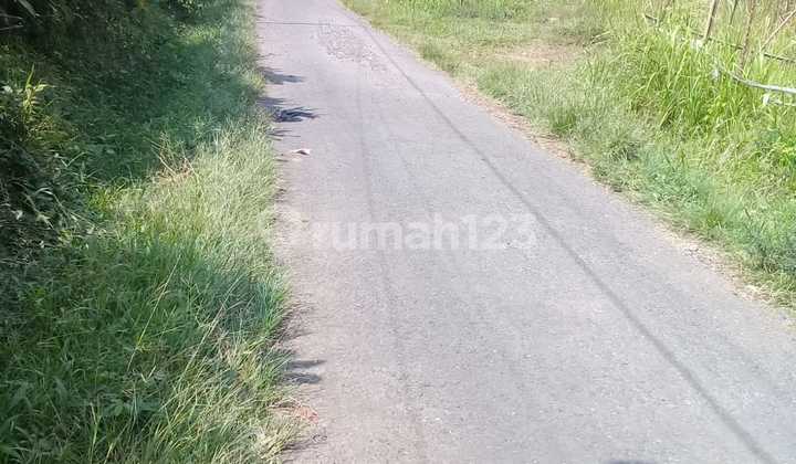 Lokasi pinggir jalan, jalan aspal cocok untuk kandang ayam sudah ad ijin + untuk investasi 2