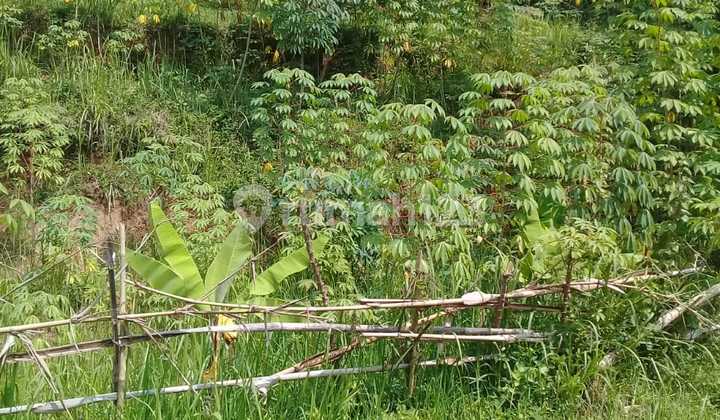 Lokasi pinggir jalan, jalan aspal cocok untuk kandang ayam sudah ad ijin + untuk investasi 3
