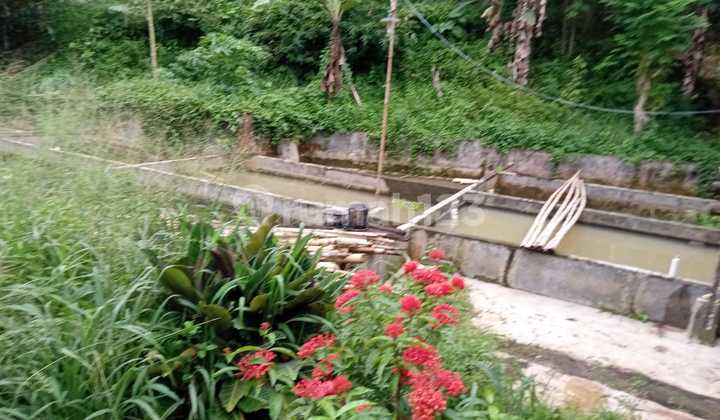 Lokasi strategis, cocok untuk villa, rumah tinggal & investasi, air subur 2