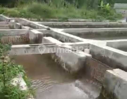 Lokasi untuk Villa, kolam ikan,  air subur, View gunung, jalan desa, 2 jam dari Jakarta 3