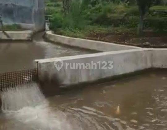 Lokasi untuk Villa, kolam ikan,  air subur, View gunung, jalan desa, 2 jam dari Jakarta 5