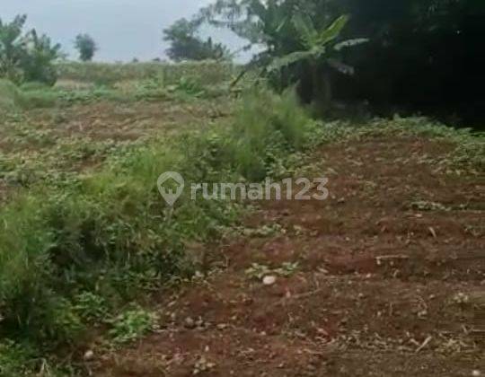 Lokasi untuk Villa, kolam ikan,  air subur, View gunung, jalan desa, 2 jam dari Jakarta 7