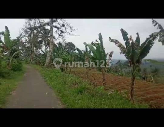 Lokasi di ciambar, Sukabumi, View gunung pangrango,jalan desa udara sejuk 1