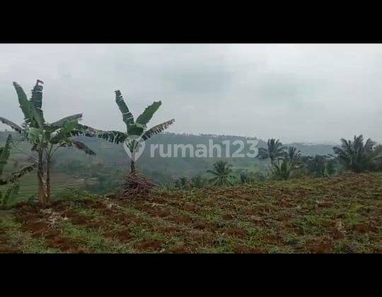 Lokasi di ciambar, Sukabumi, View gunung pangrango,jalan desa udara sejuk 2